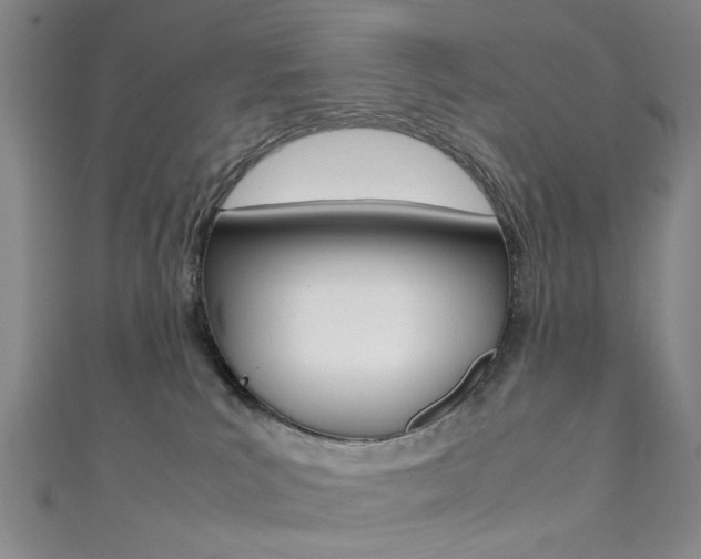 X0000111350039200907100944