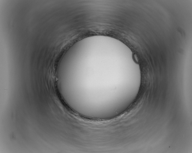 X0000111350040200907100944
