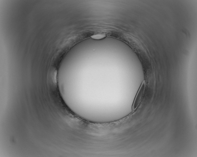 X0000111350041200907100944