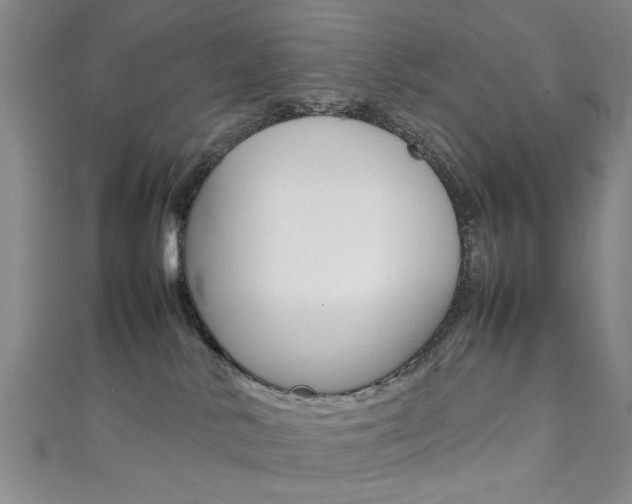 X0000111350042200907100944