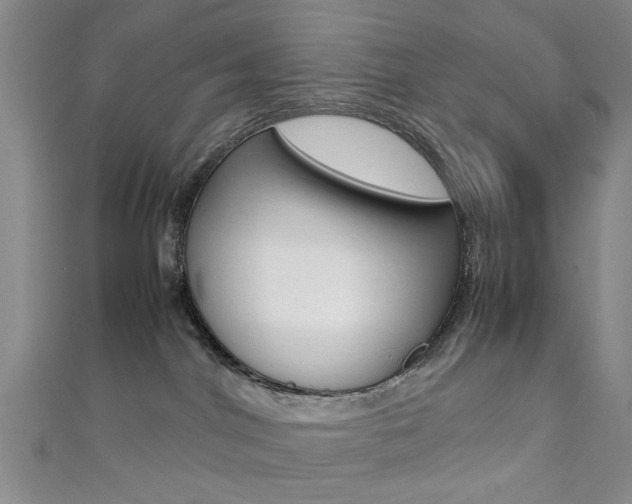 X0000111350044200907100944