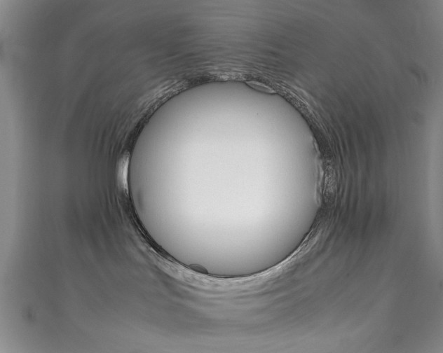 X0000111350047200907100944