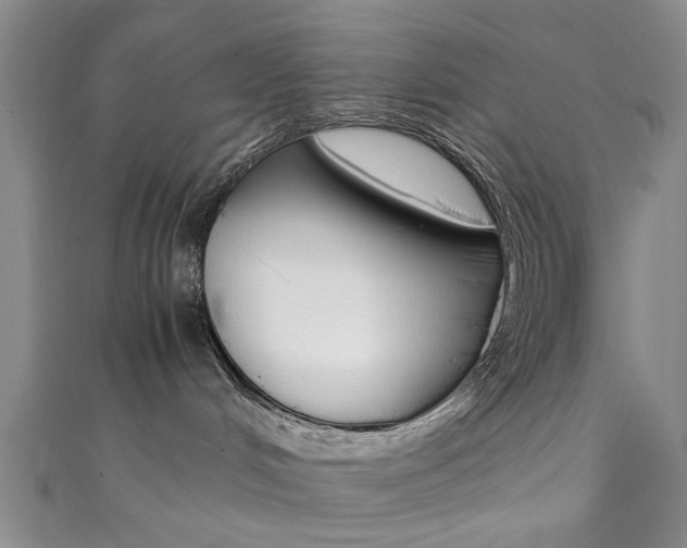 X0000111350048200907100944