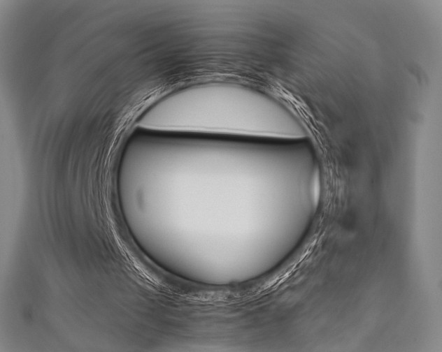 X0000111350049200907100943