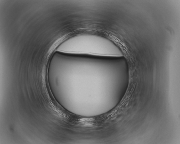 X0000111350051200907100943