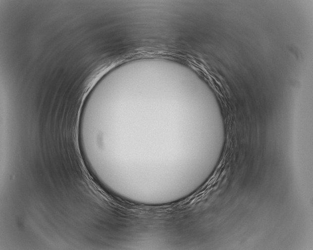 X0000111350052200907100943