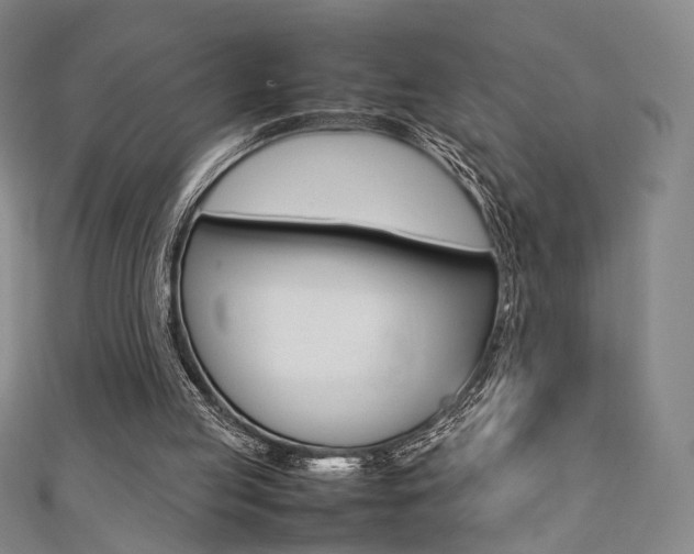 X0000111350053200907100943