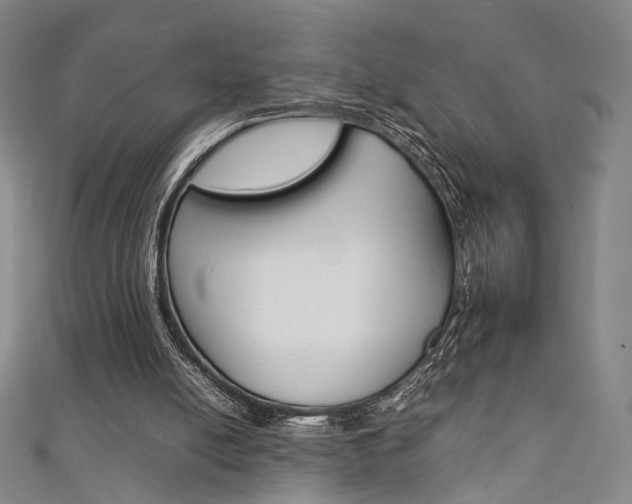 X0000111350054200907100943