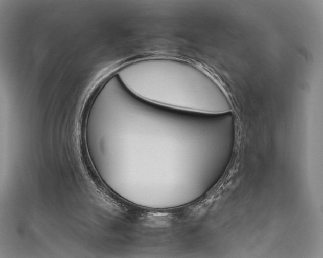 X0000111350055200907100943