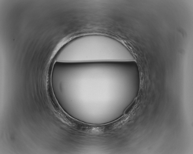 X0000111350056200907100943