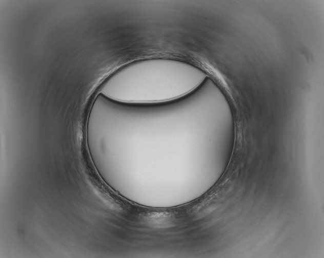 X0000111350059200907100943