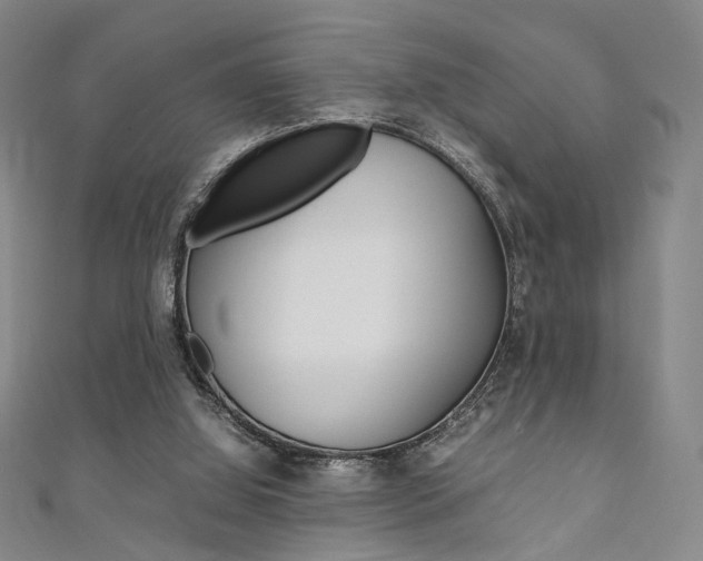 X0000111350060200907100943