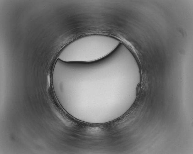 X0000111350061200907100943