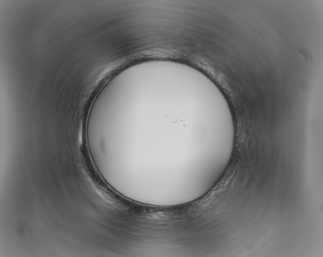 X0000111350062200907100943
