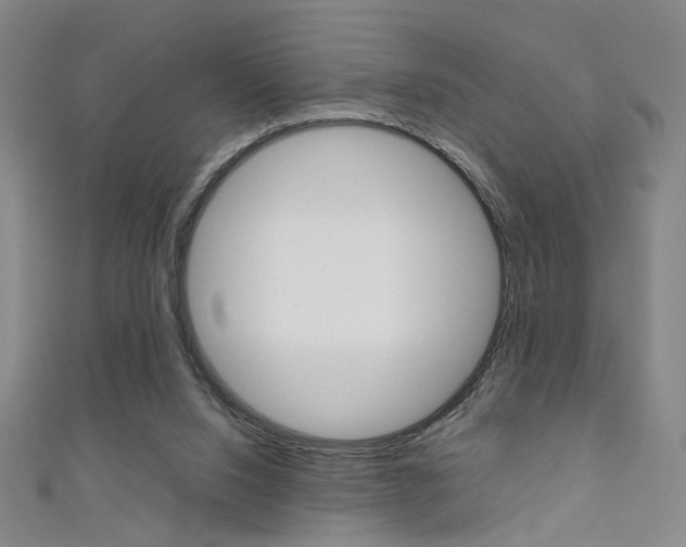 X0000111350064200907100943