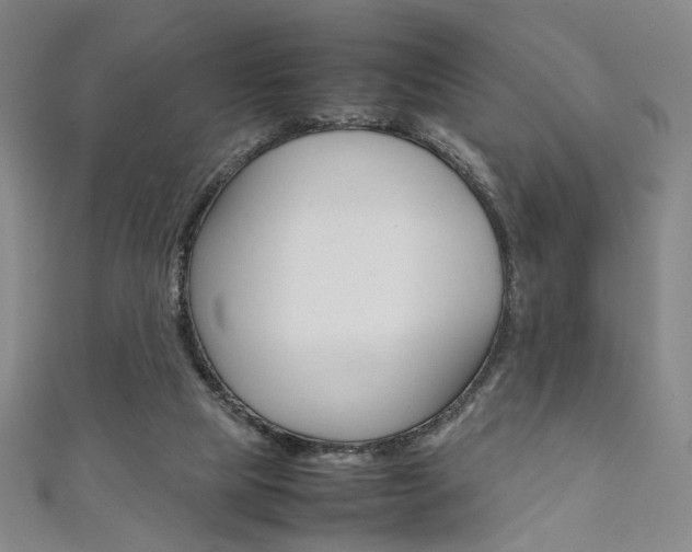 X0000111350065200907100943