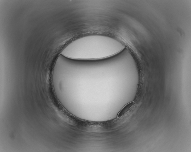 X0000111350066200907100944