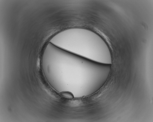 X0000111350067200907100944