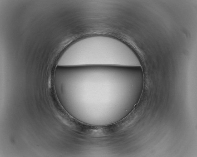 X0000111350068200907100944