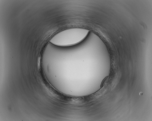 X0000111350070200907100944
