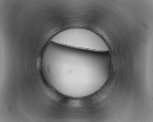 X0000111350071200907100944