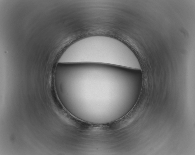 X0000111350072200907100944
