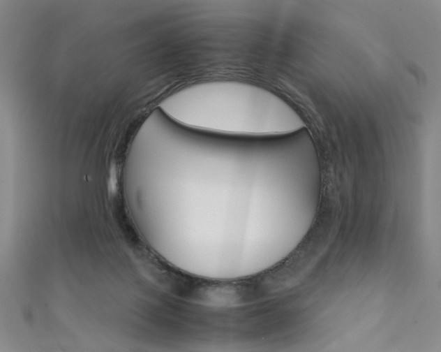 X0000111350075200907100944