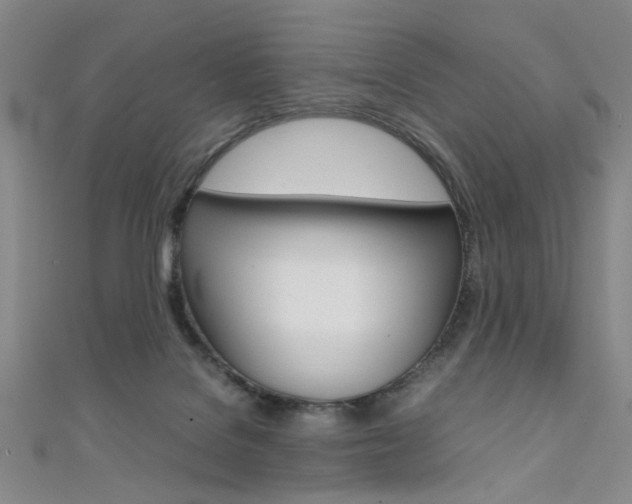 X0000111350076200907100944