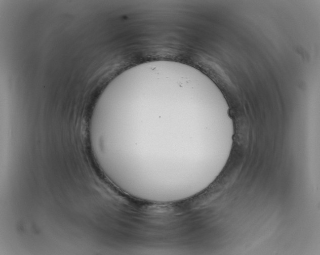 X0000111350077200907100944