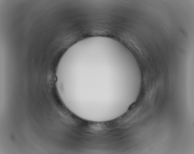 X0000111350079200907100944