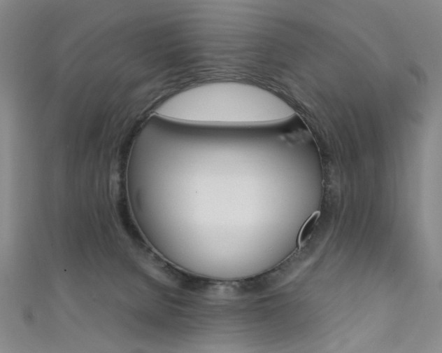 X0000111350080200907100944