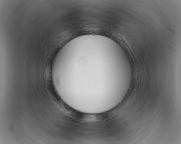 X0000111350083200907100944