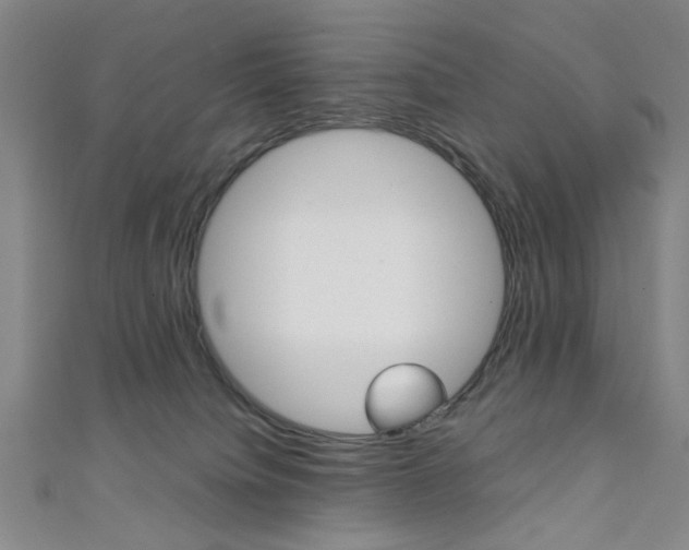 X0000111350084200907100944