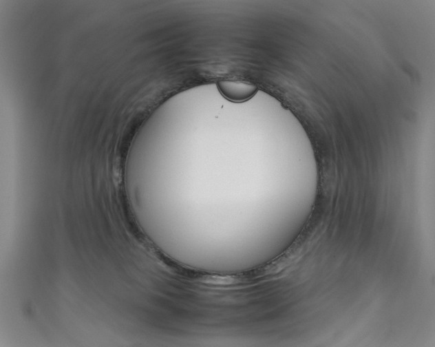 X0000111350085200907100944