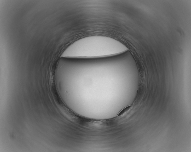 X0000111350086200907100944