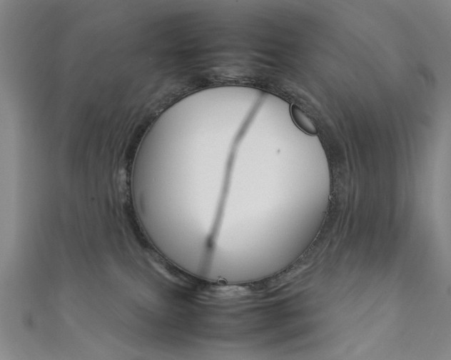 X0000111350087200907100944
