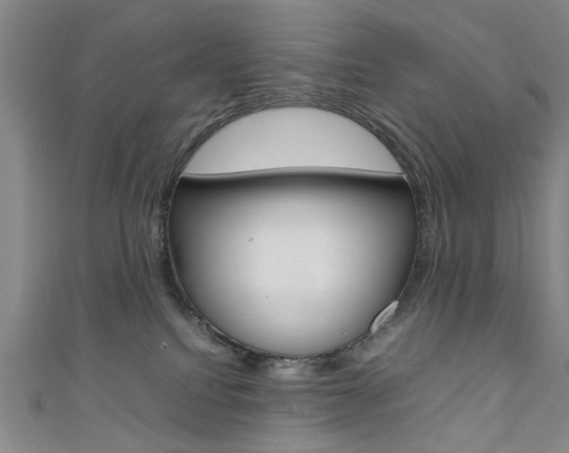 X0000111350088200907100944
