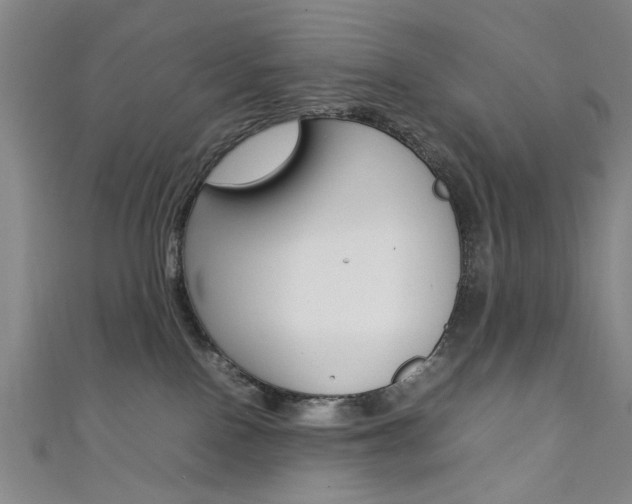 X0000111350090200907100944