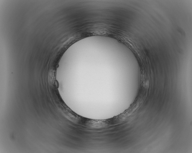 X0000111350093200907100944