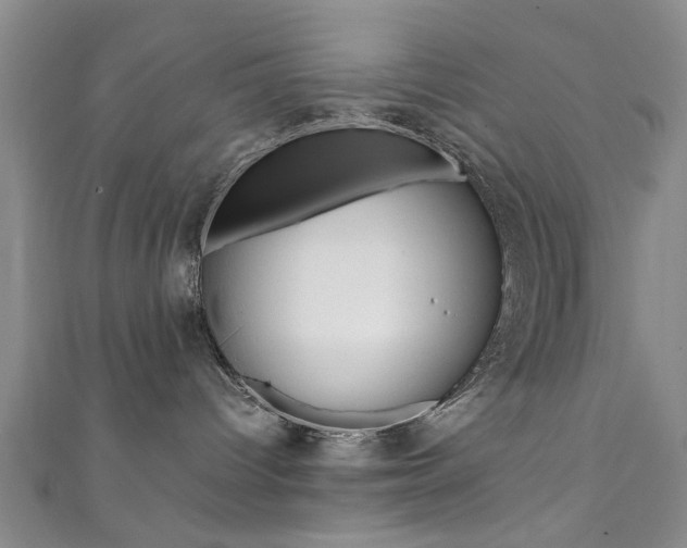 X0000111350096200907100944