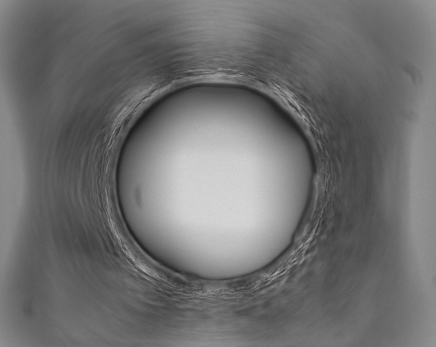 X0000111350097200907100943
