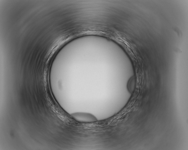 X0000111350098200907100943