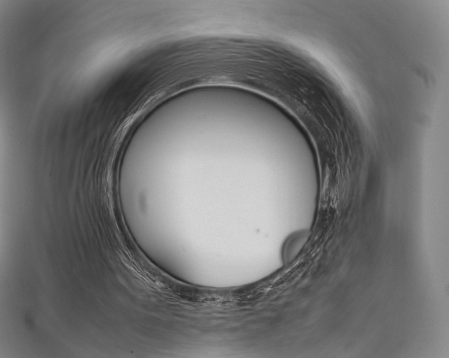 X0000111350099200907100943