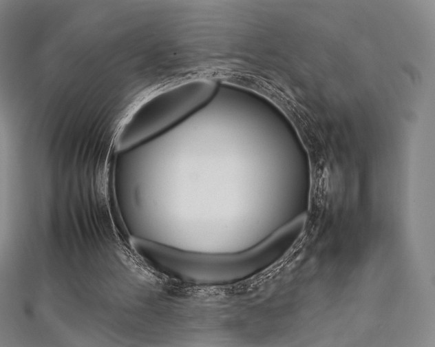X0000111350100200907100943