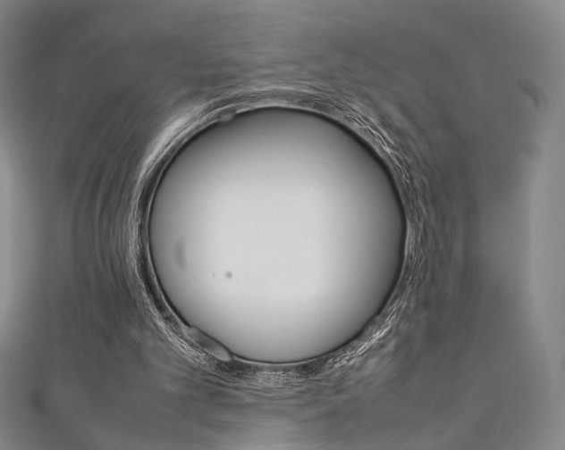 X0000111350101200907100943