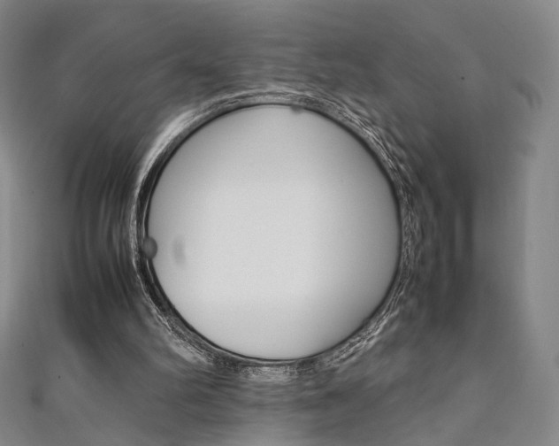 X0000111350102200907100943