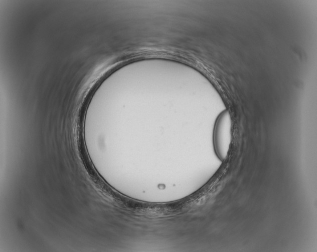 X0000111350103200907100943