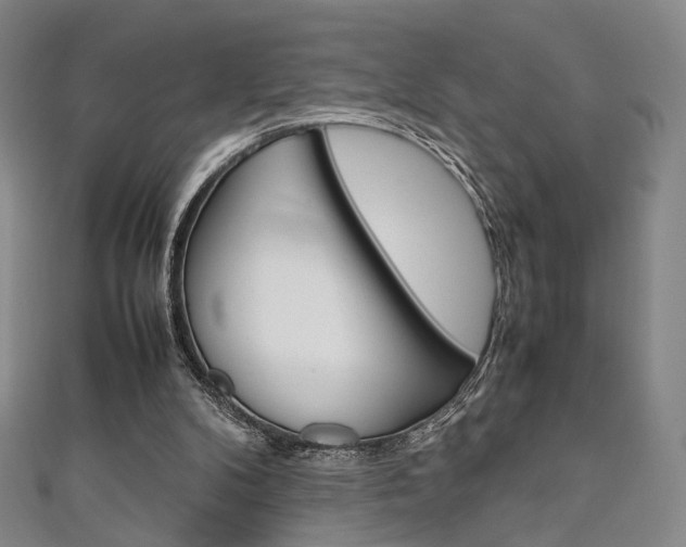 X0000111350104200907100943