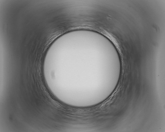 X0000111350105200907100943