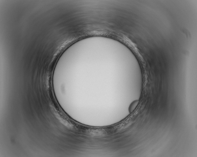 X0000111350106200907100943